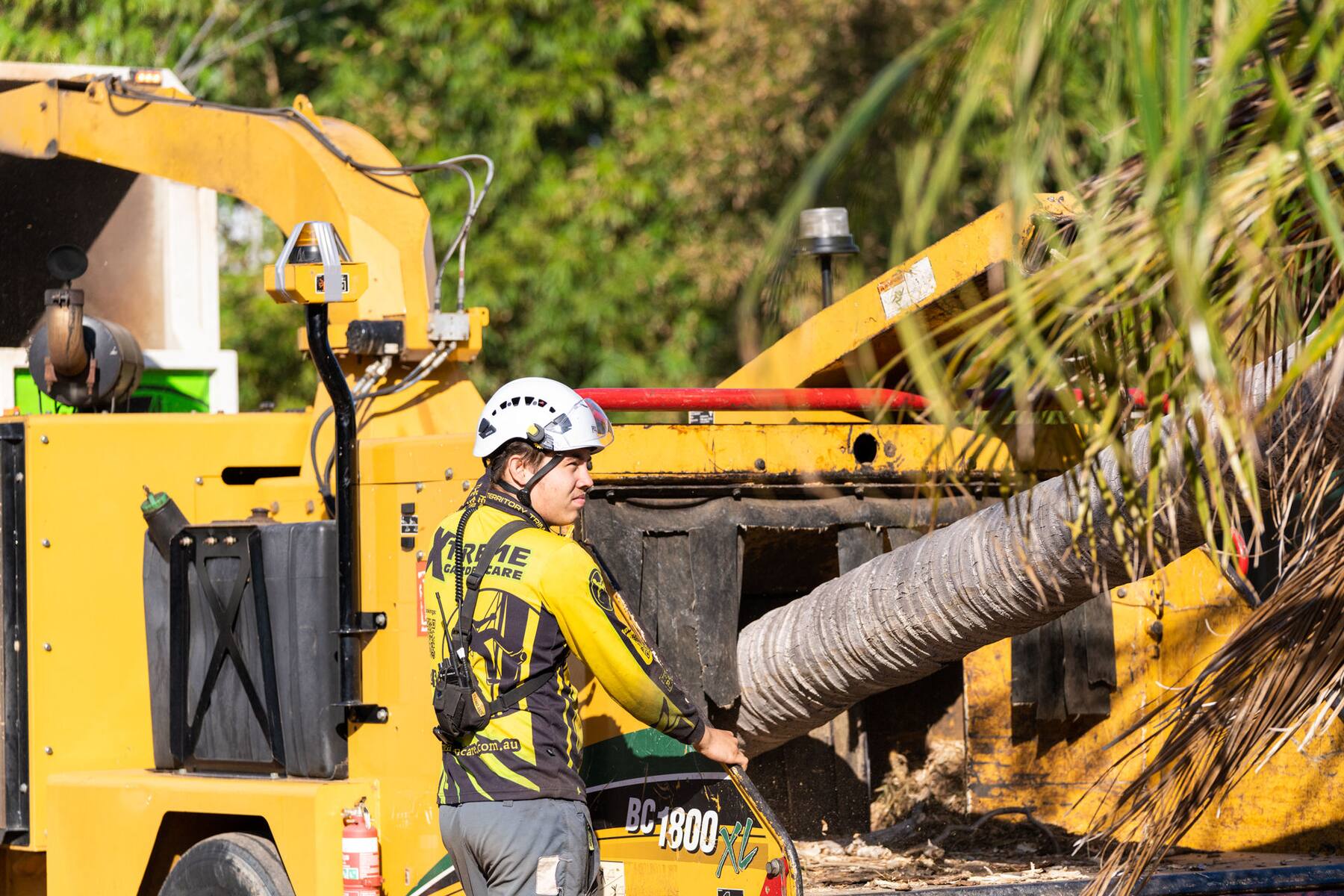 Xtreme Garden Care arborist feeding palm fronds into a wood chipper in Darwin